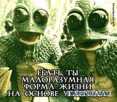ЯП-радио. Раздел поздравлений.