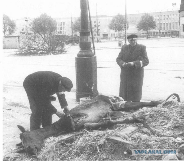 Сражение под Прохоровкой.