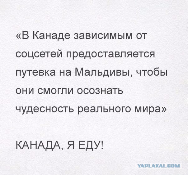 Смешные комментарии из социальных сетей 10.02.2017
