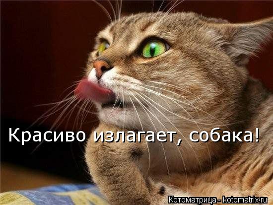 Ответ Будды обезьяноподобным демонам