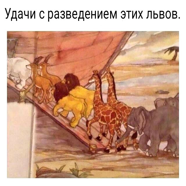 Приколы на любые темы