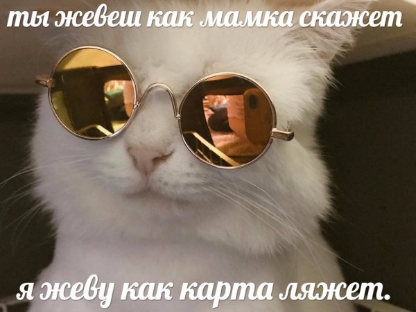 Подеградируем, немного картинок веселых и разных