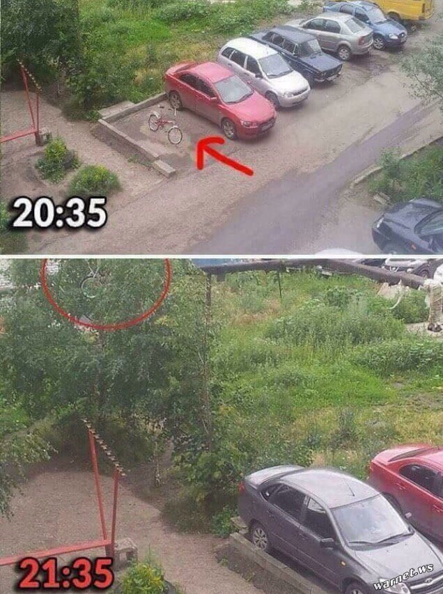 Почему бы не подеградировать, коллеги?