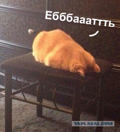 Сосать энергию