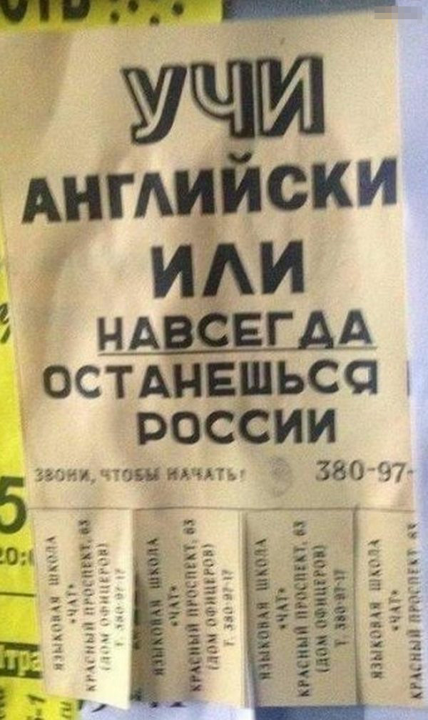 Вот как надо зарабатывать!