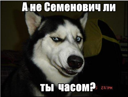А Семенович ли это?
