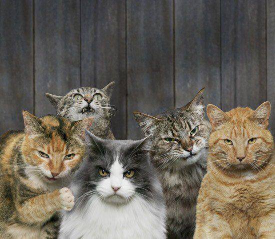 Итоги проверки пользователей