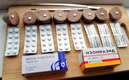 Свора бродячих собак бросается на детей прямо во дворе школы, две девочки успели забежать на ступеньки