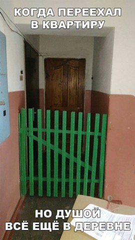 Солянка картинок из интернета