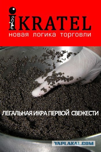 Конкурс на лучшую фотожабу против браконьеров.