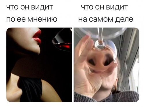 Прикольные картинки и фото с надписями и коментами????