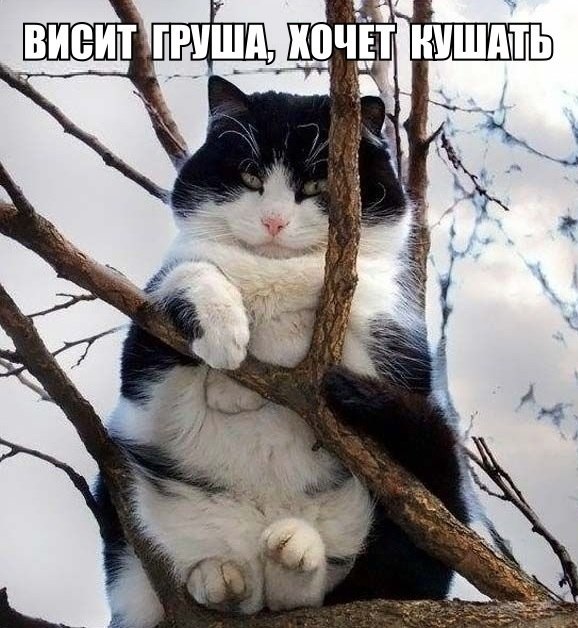Немного картинок для настроения 22.02.20