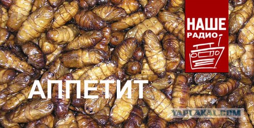 Фотожаба: Наше радио