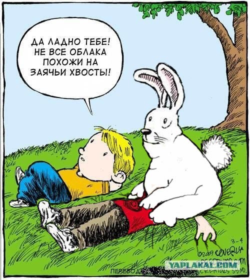 Смотрим на облака вместе