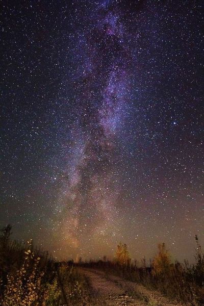 Новосибирская осень. Фотокарточки