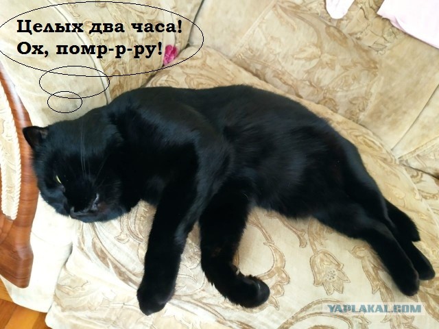 Друзья!© Вот и я стал рабом...