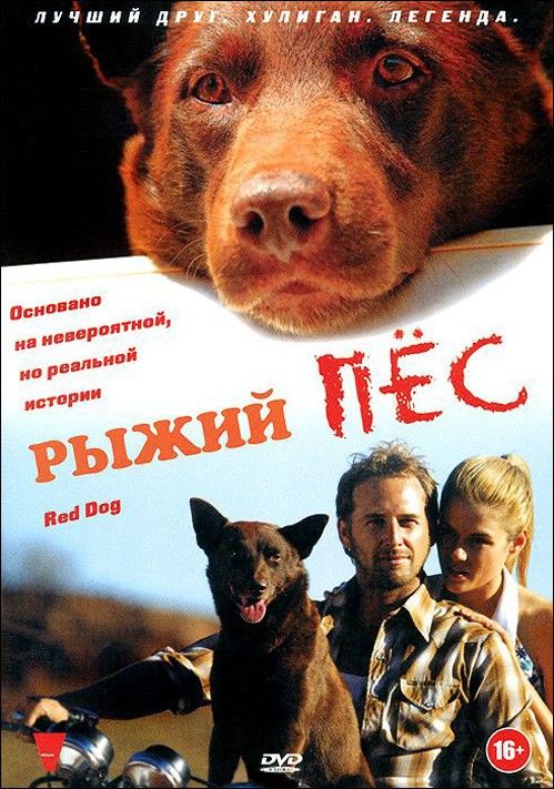 Бим и Хатико