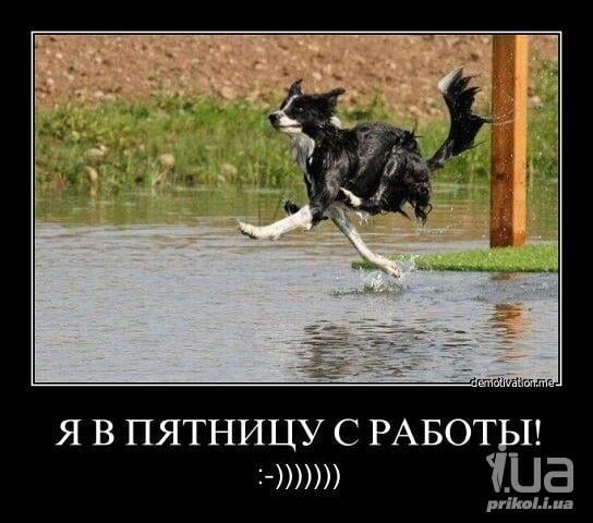 Алкопост выходного дня
