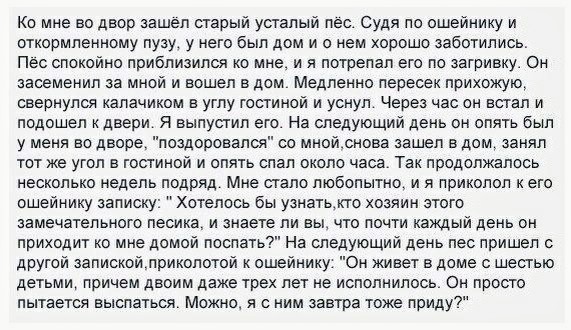 Картинки и мемы для настроения