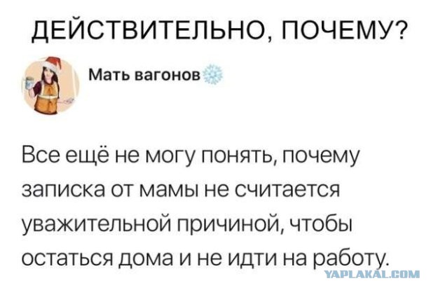 Кретинизмы из сети 16.08.2021