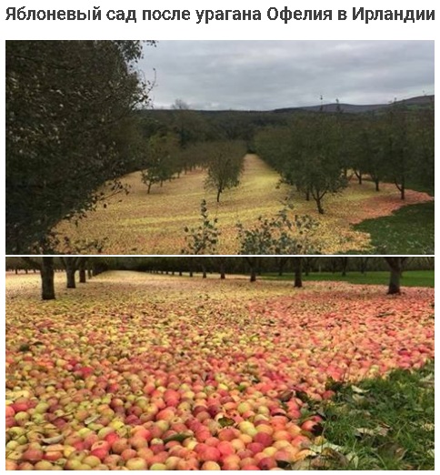 Так себе картинки 08.10.21