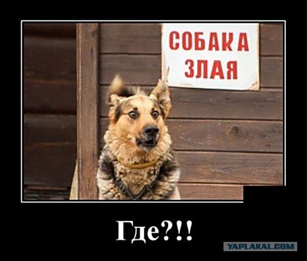 Картинок маненько, пофтыкать и поулыбаться