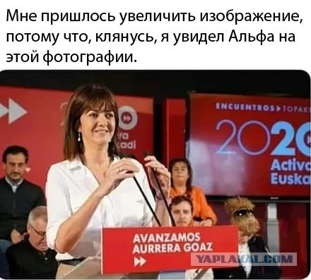 Всяческие картинки 15.11.2021