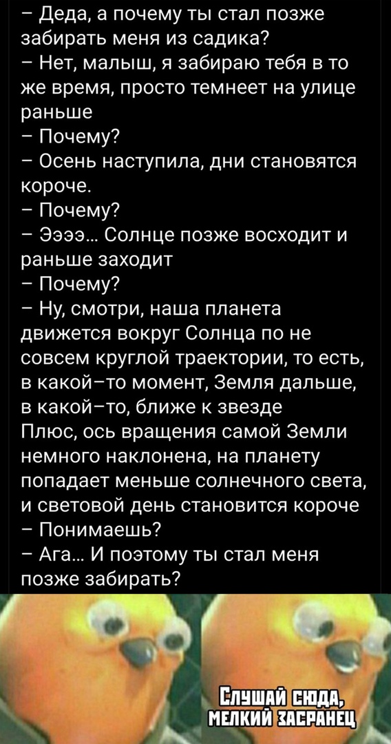 Так себе картинки 20.11.21