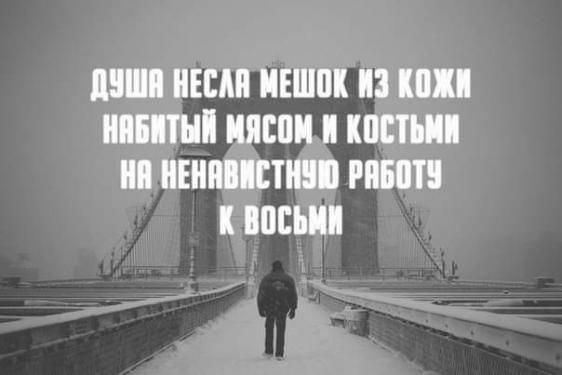 Так себе картинки 26.12.21