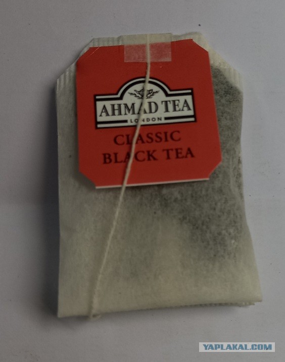 Кадыров прокомментировал переговоры в Турции