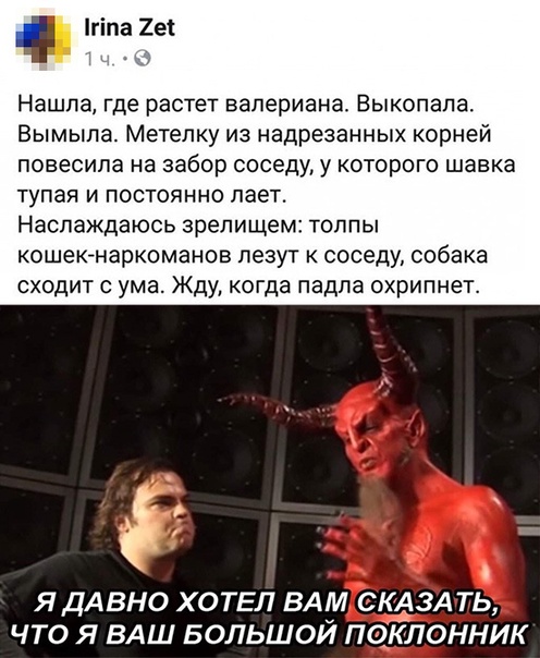 Весёлый полтишок 24.05.22