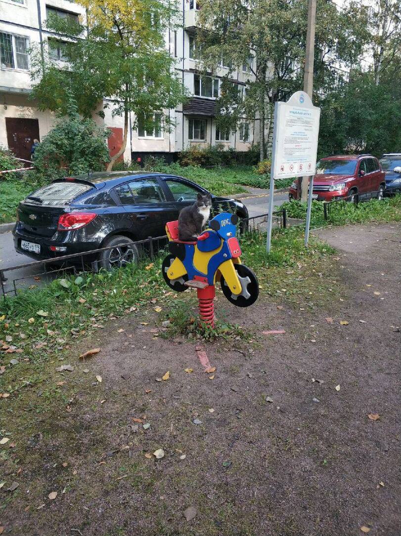 16863204.jpg