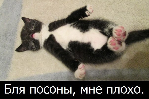 Женщина моей мечты