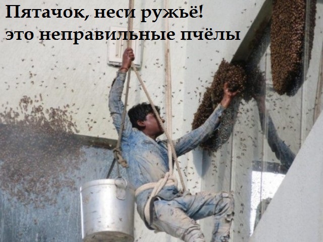Народная меДИЧина 8.08