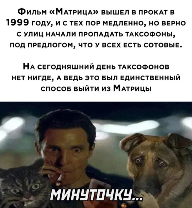 Картинки и мемы для настроения - 119
