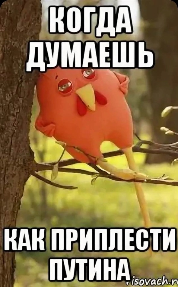 Жительницу Мордовии ошибочно обвинили в воровстве. Она смогла доказать невиновность, но успела прослыть воровкой