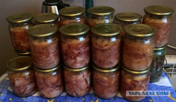 Соя,лишний жир, свинина вместо говядины, закладка мяса в 2 раза меньше нормы - вся тушенка по ГОСТу, проверка Росконтроль