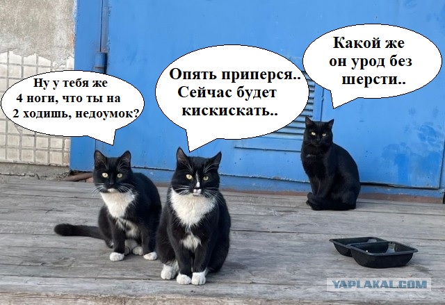 Как вас встречают на работе?