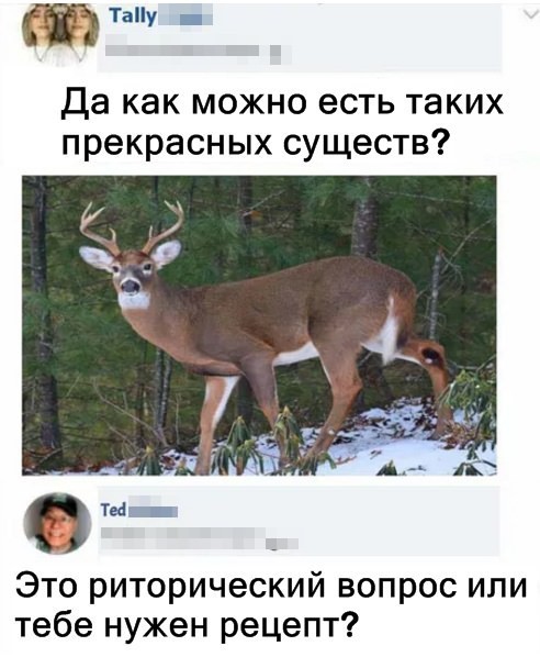 Скриншоты и комментарии из социальных сетей 12.06.23
