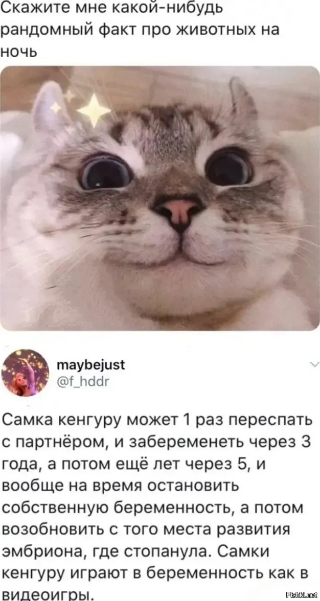 Так себе картинки 17.08.23