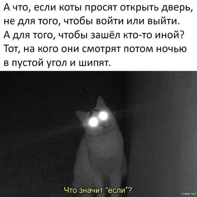 Всего понемногу. От 28.11.23