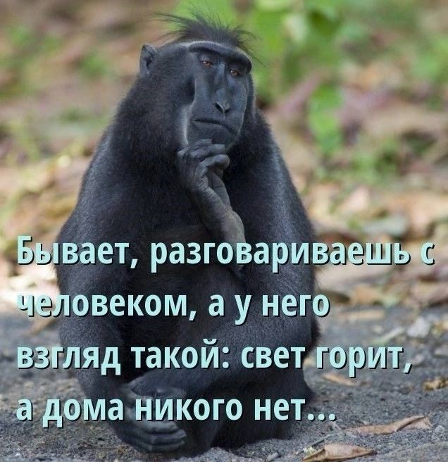 Перлы 04.02.24