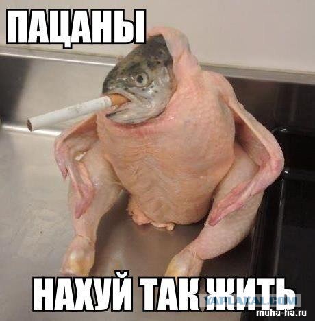 Допёрло!!!