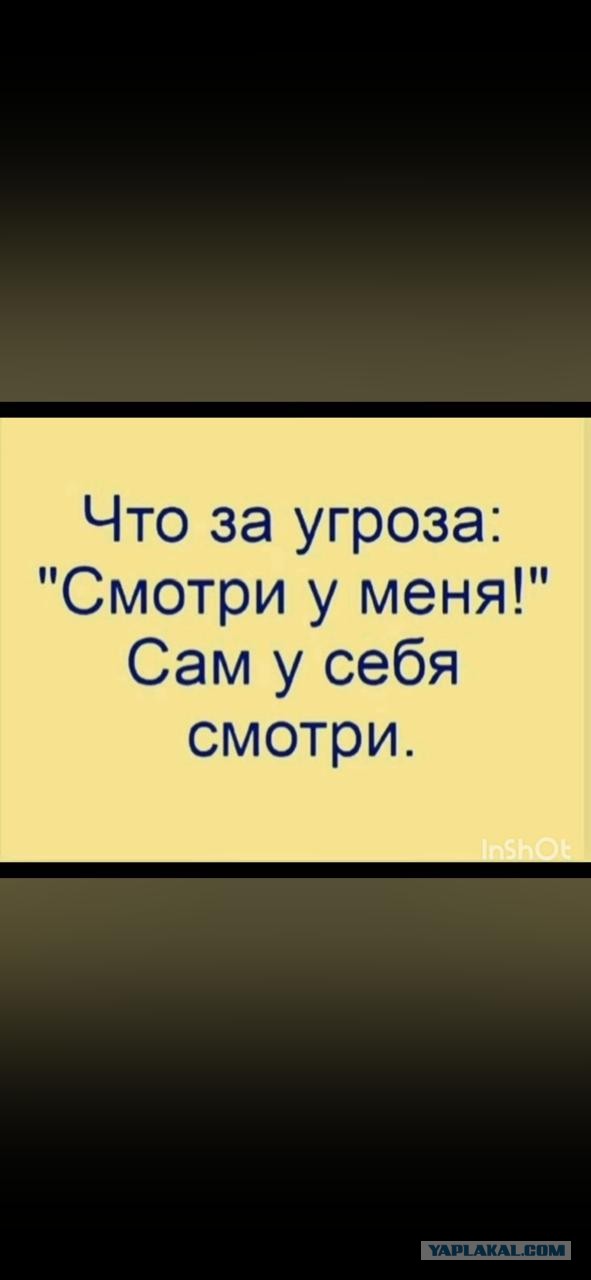 Так себе картинки 01.10.24
