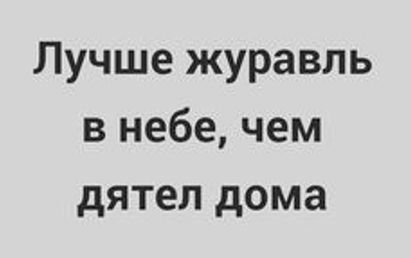 Маленькая пятница 29.01.25