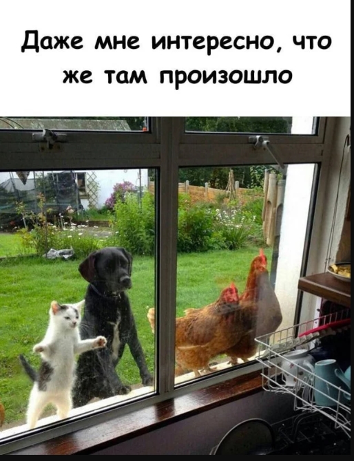 Завалялось тут случайно немного забавных картинок