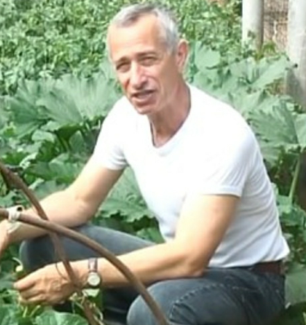 Дача на удаленке