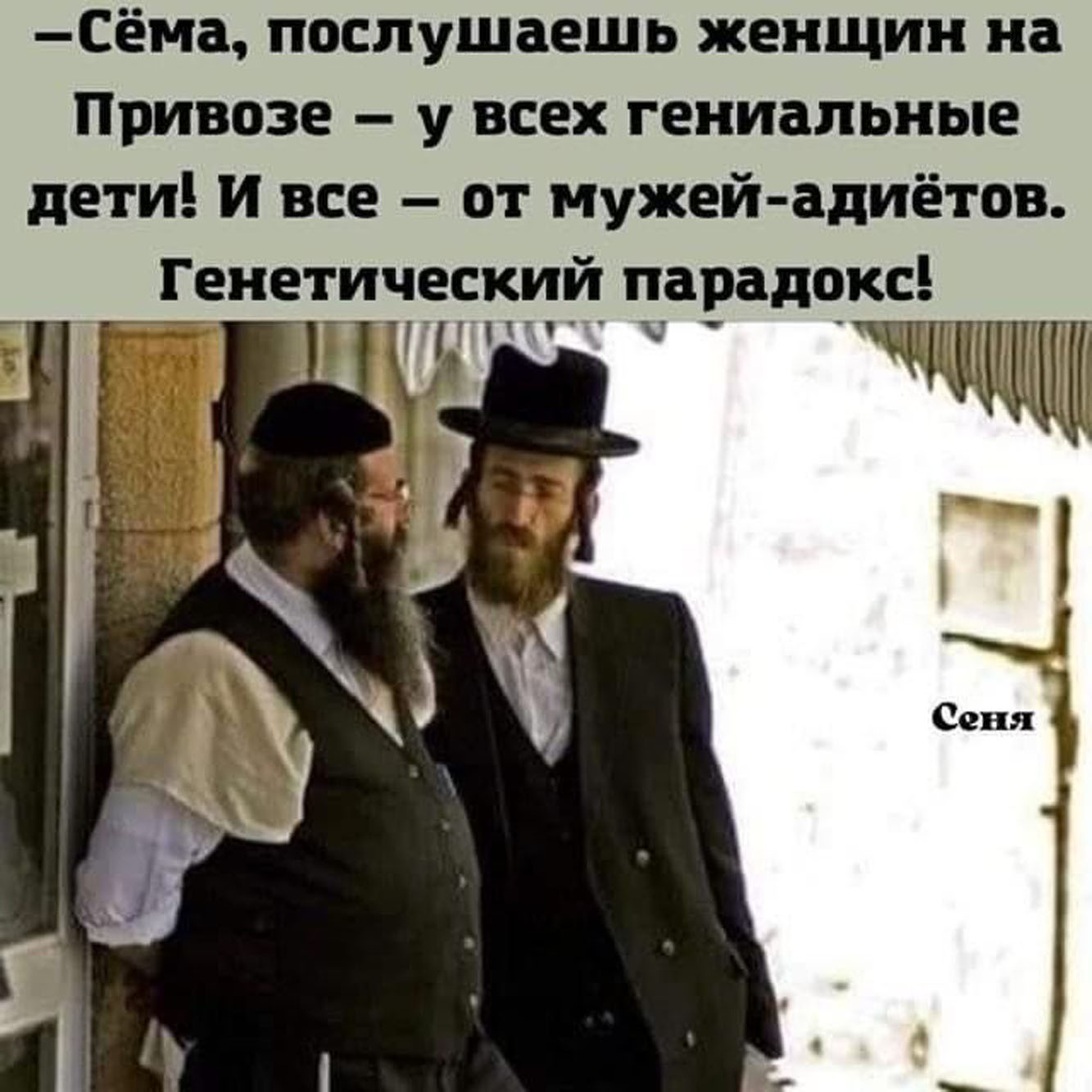 20582204.jpg