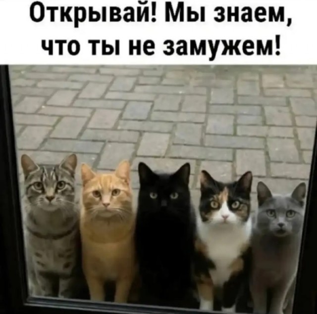 В натуре 40