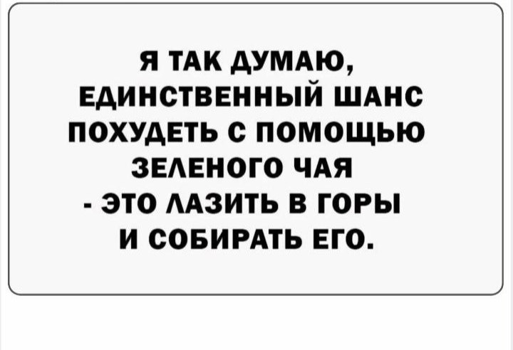 20772204.jpg